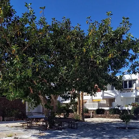 Oasis Marina Apartament Costa Del Silencio Extérieur photo